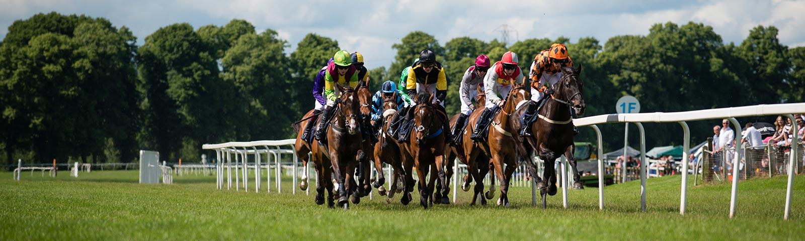 Group of jockeys racing at Worcester Racecourse.
